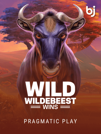 Wild Wildebeest Wins thumbnail
