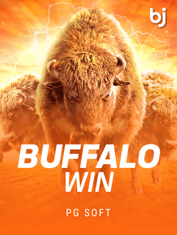 Buffalo Win thumbnail